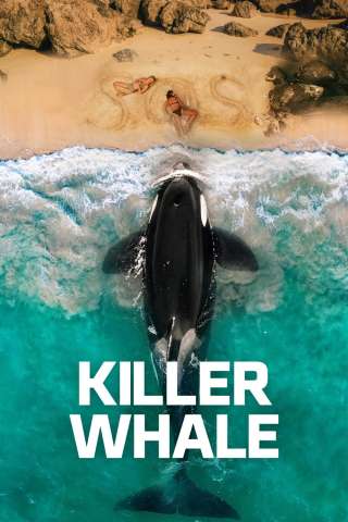 Killer Whale streaming